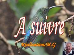 101PARC AUX OISEAUX DANS L AIN 2016 2_000055